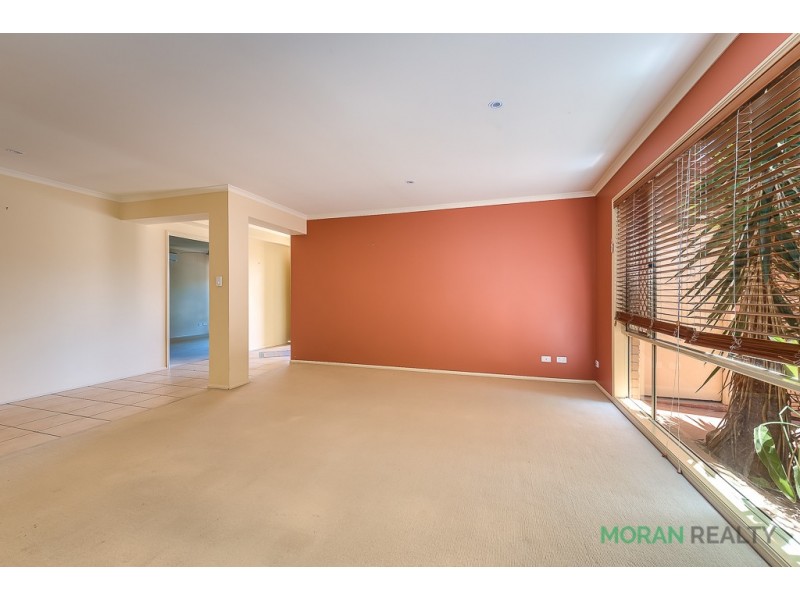 21 Lillywood Circuit, Molendinar QLD 4214