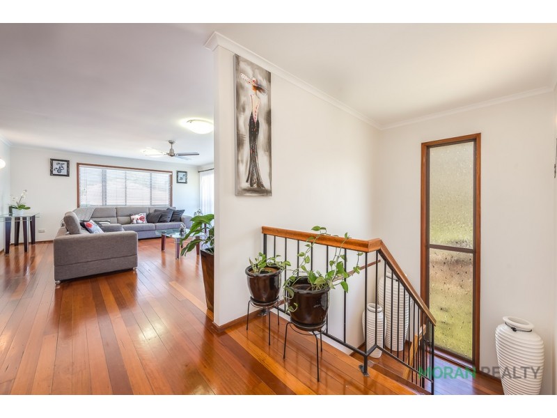 15 Macquarie Avenue, Molendinar QLD 4214