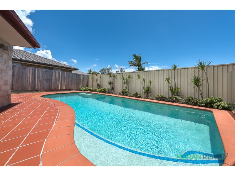 3 Pickworth Court, Parkwood QLD 4214