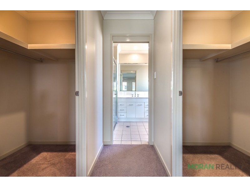 29 Stringybark Drive, Molendinar QLD 4214