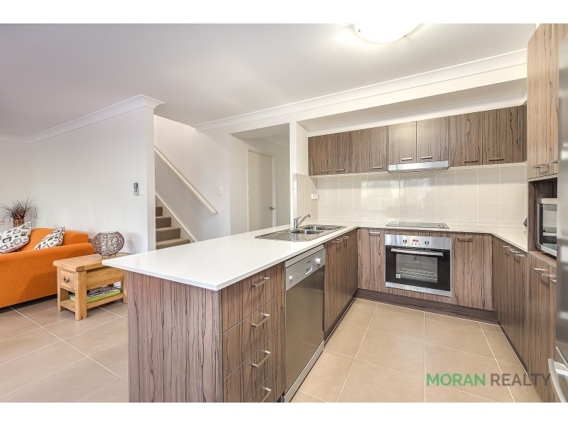 37/19 Gumtree Crescent, Upper Coomera QLD 4209