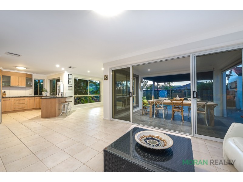 10 Leopard Tree Place, Molendinar QLD 4214