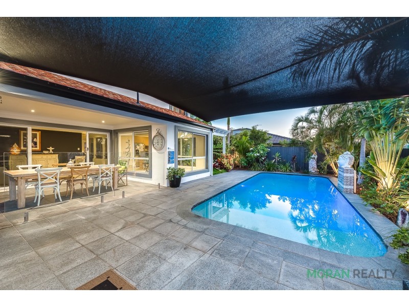 10 Leopard Tree Place, Molendinar QLD 4214