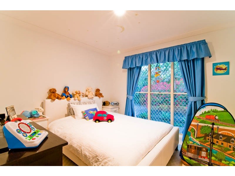 17 Callicoma Court, Ormeau QLD 4208