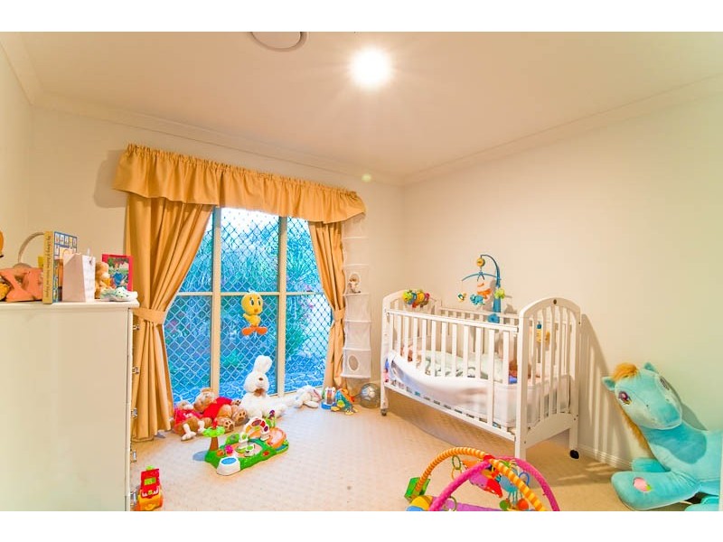 17 Callicoma Court, Ormeau QLD 4208