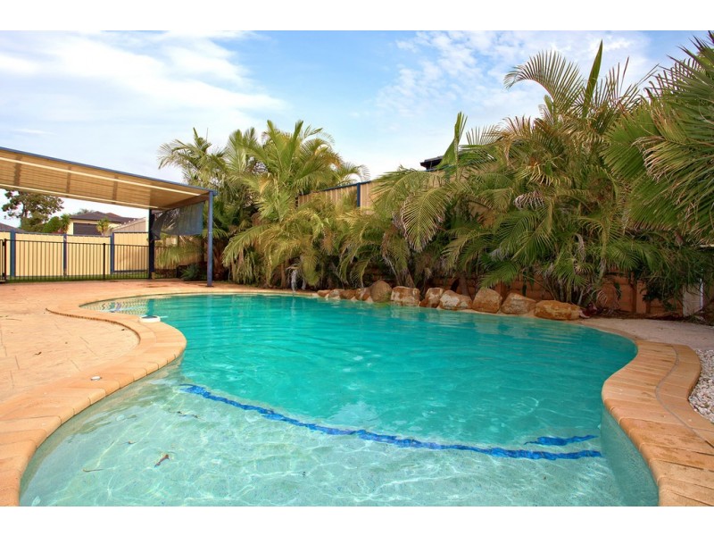 64 Coachwood Drive, Molendinar QLD 4214