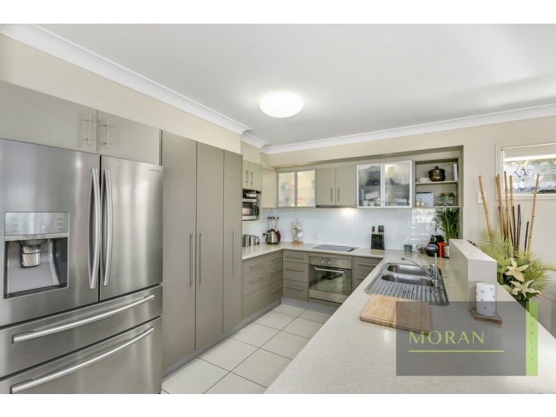 16 Corymbia Way, Molendinar QLD 4214