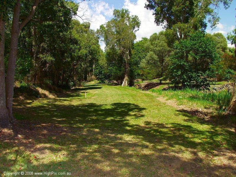 21 Bluegum Street, Macgregor QLD 4109