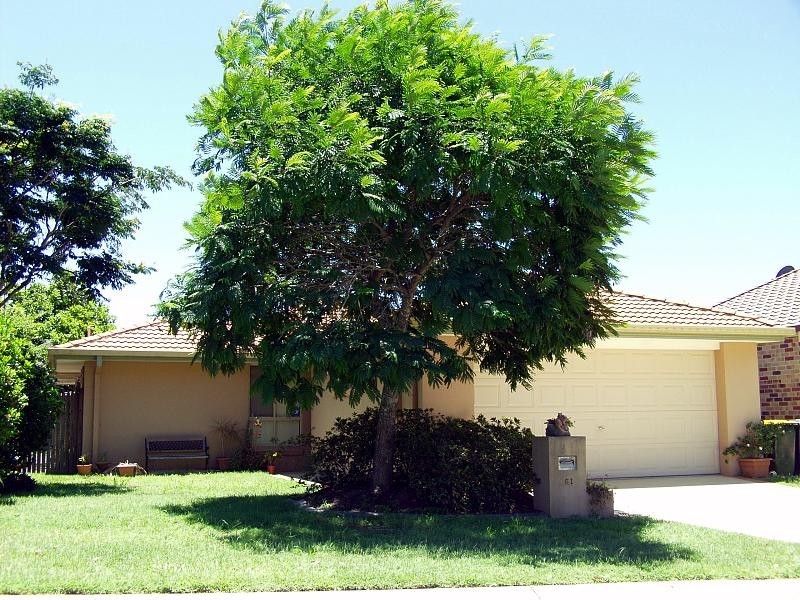 51 Shelduck Place, Calamvale QLD 4116