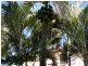 65 Oakleaf Street, Eight Mile Plains QLD 4113