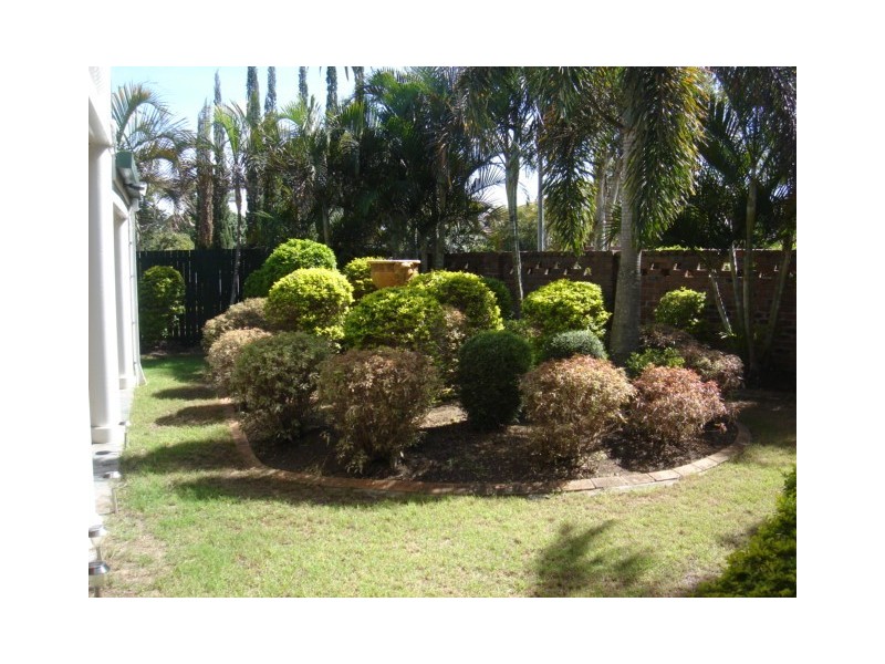 65 Oakleaf Street, Eight Mile Plains QLD 4113