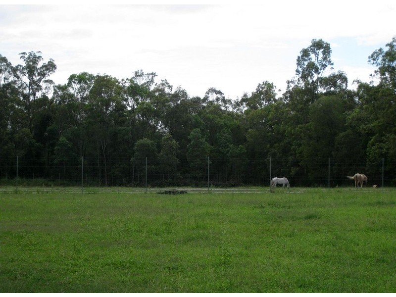 141 Koplick Rd, Park Ridge QLD 4125
