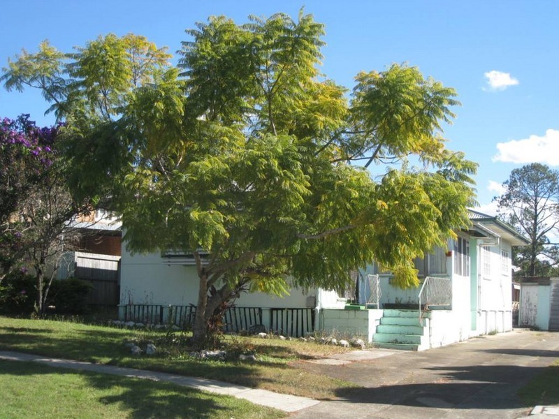 17 Laurieston Street, Sunnybank Hills QLD 4109