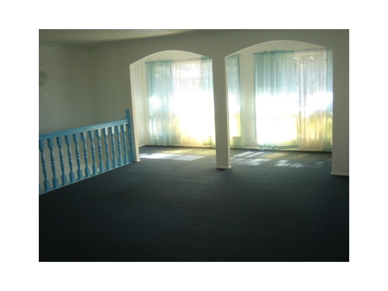 22 Terowi Street, Sunnybank Hills QLD 4109