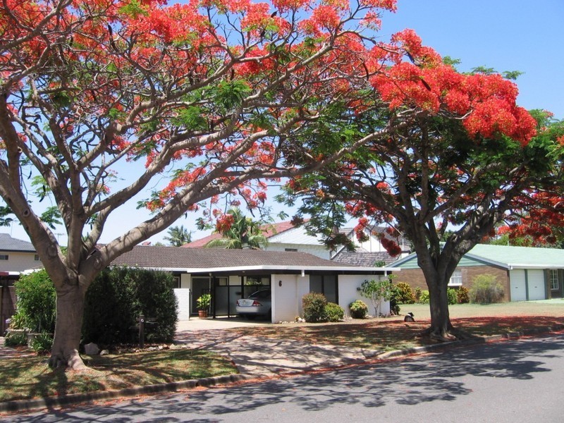 6 Stanford Street, Robertson QLD 4109