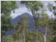 307 Kelso Drive, Kelso QLD 4815