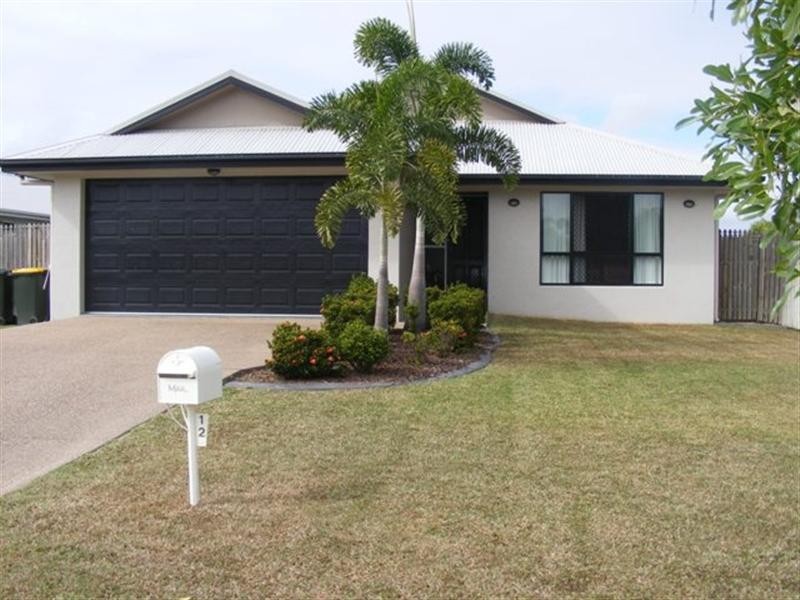 12 Berry Court, Kirwan QLD 4817