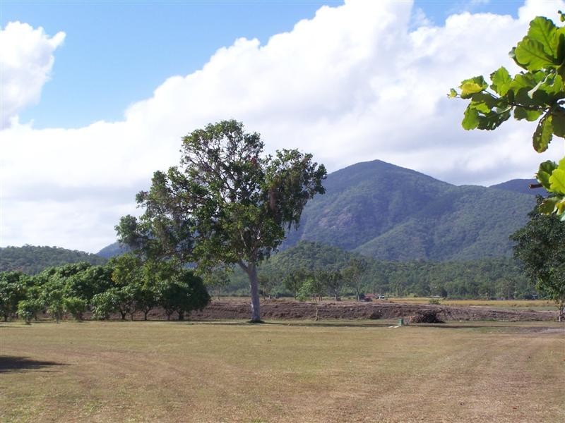 Lots 1-31 Williams Road, Litchfield Park, Alligator Creek QLD 4816