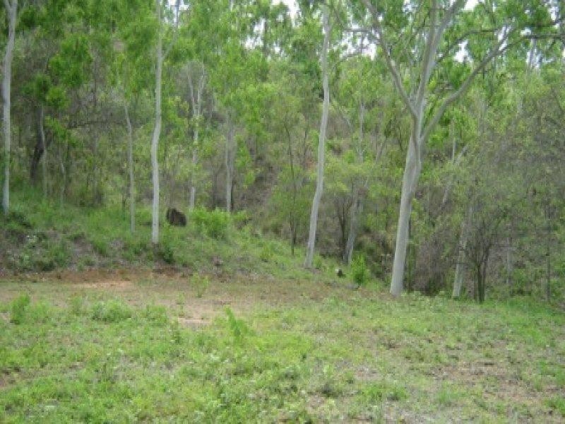 31 Mt Elliot Drive, Alligator Creek QLD 4816
