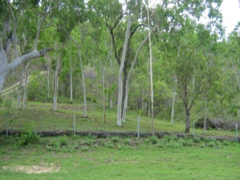 31 Mt Elliot Drive, Alligator Creek QLD 4816