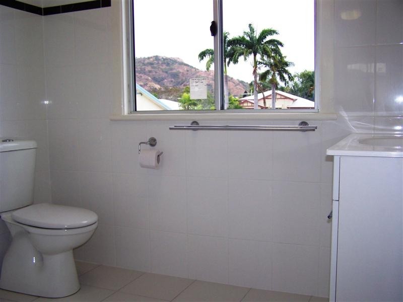 10 Lily Street, Hermit Park QLD 4812