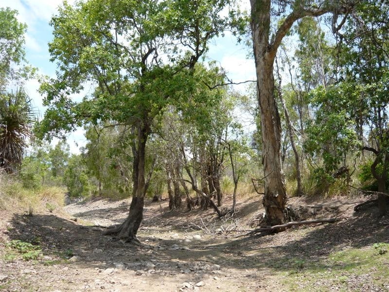 13 Thunderbolt Drive, Oak Valley QLD 4811