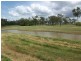 105 Aspley Drive, Kirwan QLD 4817