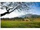 41 Haberecht Road, Majors Creek QLD 4816