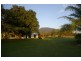 41 Haberecht Road, Majors Creek QLD 4816