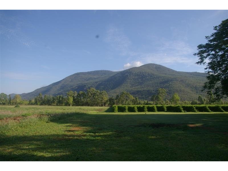 41 Haberecht Road, Majors Creek QLD 4816