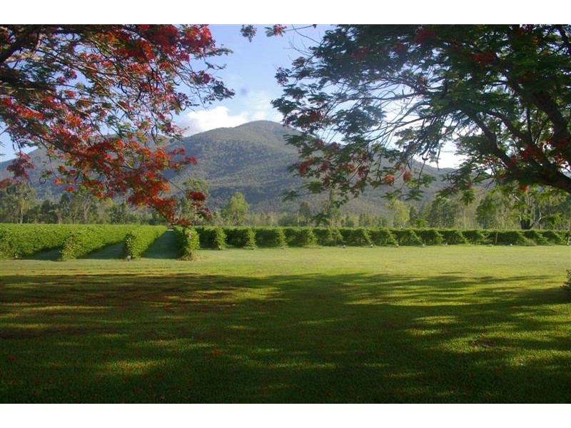 41 Haberecht Road, Majors Creek QLD 4816