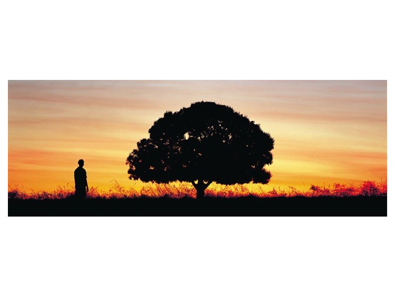 309 Dingo Park Rd, Woodstock QLD 4816