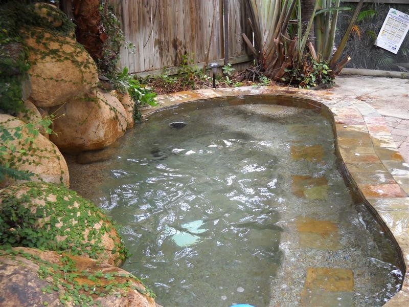 79 Gollogly Lane, Condon QLD 4815