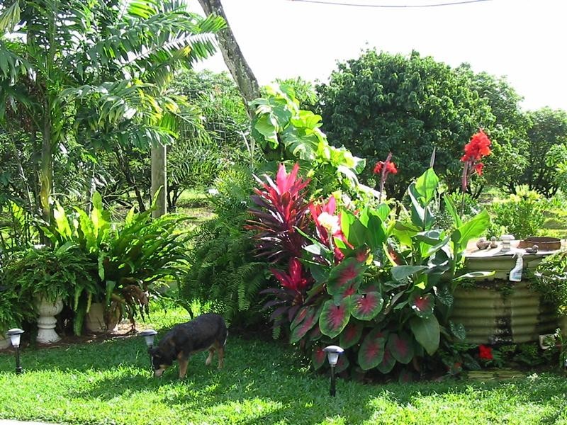 31 Balgal Beach Road, Balgal Beach QLD 4816