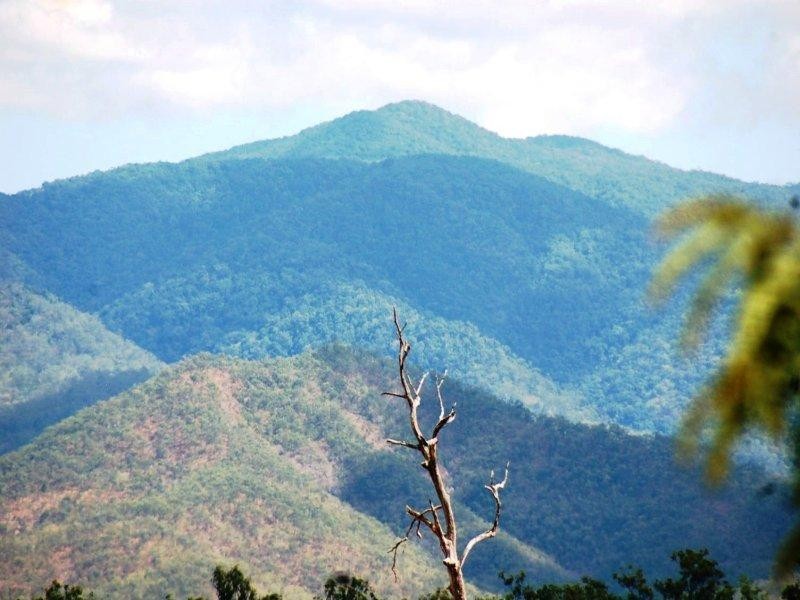 50 Forestry Road, Bluewater QLD 4818