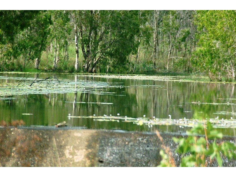 LOT 15 BLUE MOUNTAIN DR, Bluewater QLD 4818