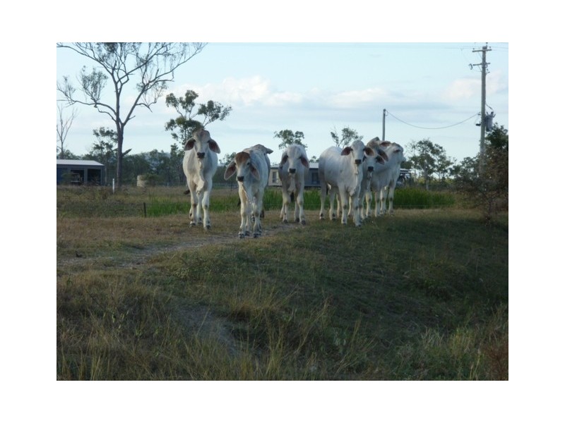 Lot 2 One Mile Road, Gumlow QLD 4815