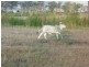 Lot 2 One Mile Road, Gumlow QLD 4815