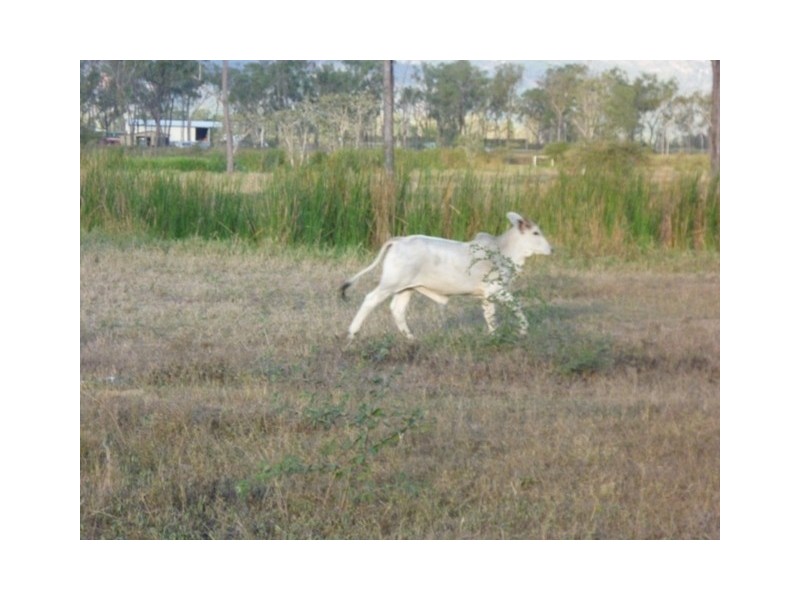 Lot 2 One Mile Road, Gumlow QLD 4815