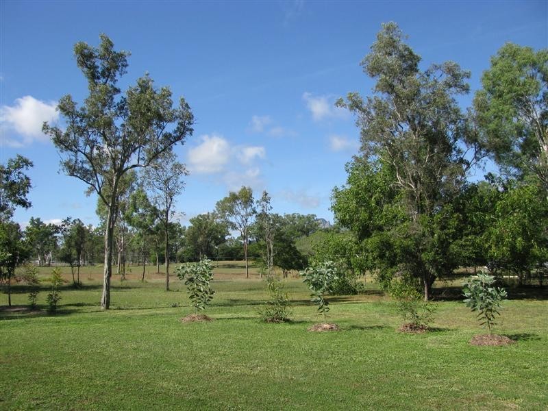 5 Romsey Court, Alice River QLD 4817