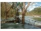 106 Toolakea Beach Road, Bluewater QLD 4818