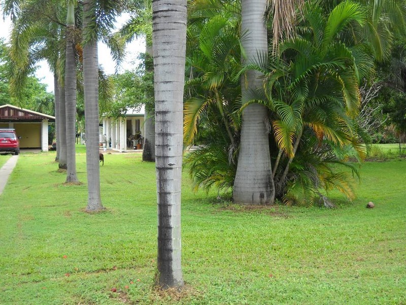 30 Rupertswood Drive, Rupertswood QLD 4817