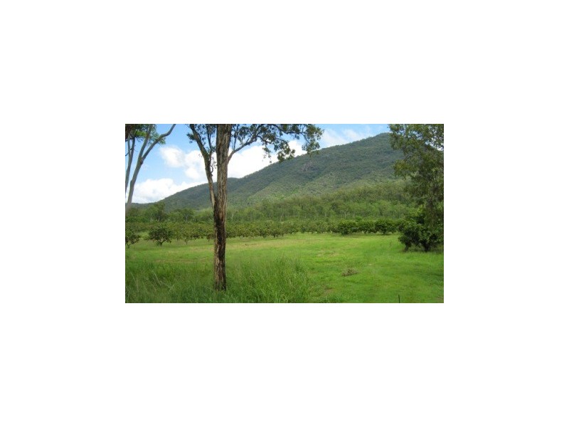 1010 Woodstock Giru Road, Mount Surround QLD 4809