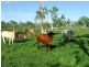 1947 Woodstock Giru Road, Majors Creek QLD 4816