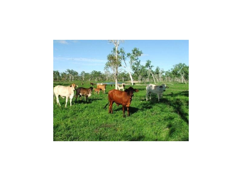 1947 Woodstock Giru Road, Majors Creek QLD 4816