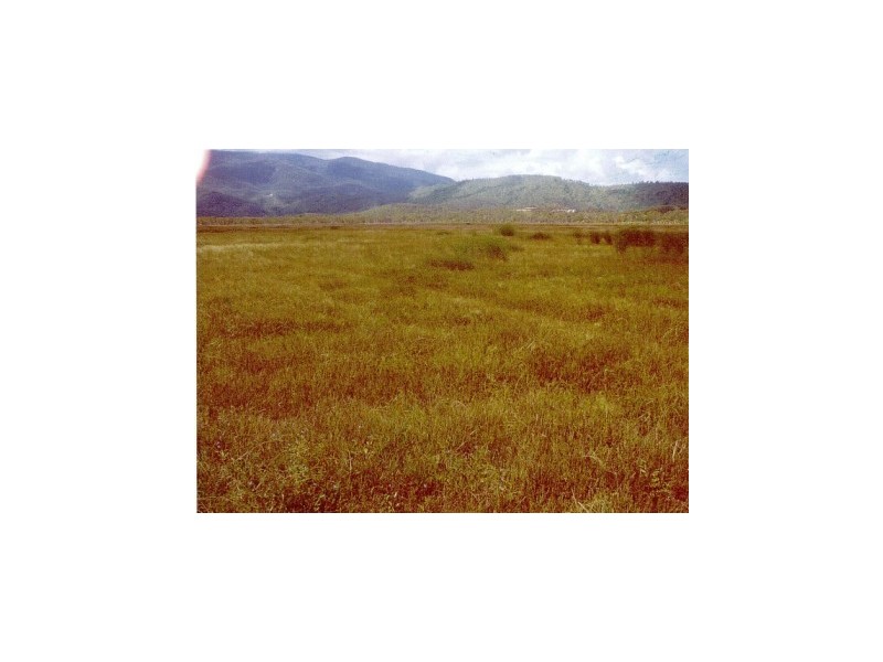 Lot 22 Woodstock Giru Road, Majors Creek QLD 4816