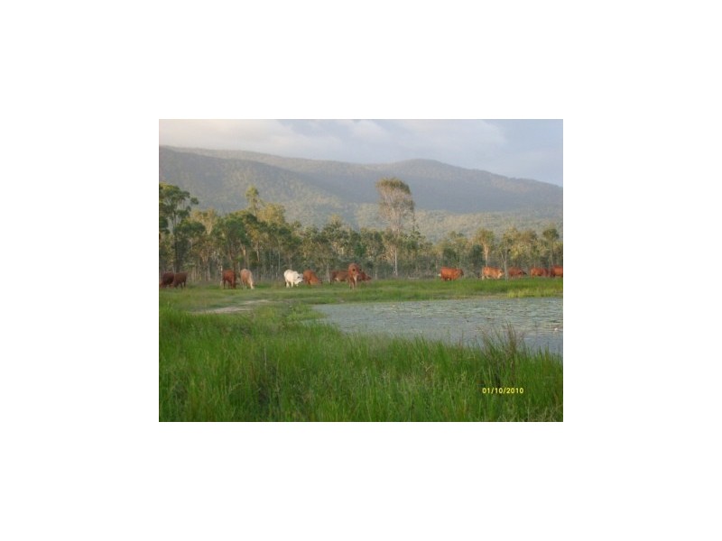 2159 Woodstock Giru Road, Majors Creek QLD 4816