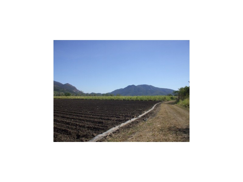 205 Sarri Road, Mount Surround QLD 4809