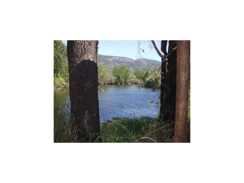 205 Sarri Road, Mount Surround QLD 4809