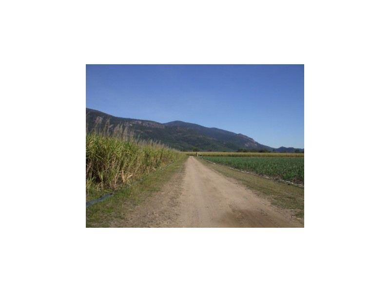 205 Sarri Road, Mount Surround QLD 4809